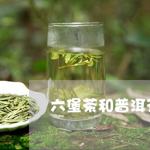 六堡茶和普洱茶的工艺/2023073064916