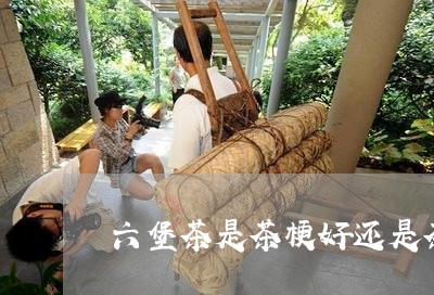 六堡茶是茶梗好还是茶叶好呢/2023052627150