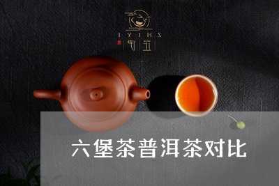 六堡茶普洱茶对比/2023062866391