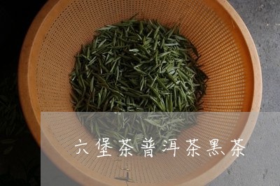 六堡茶普洱茶黑茶/2023062850793