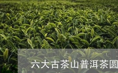 六大古茶山普洱茶圆饼/2023092744139