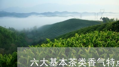 六大基本茶类香气特点/2023071558392