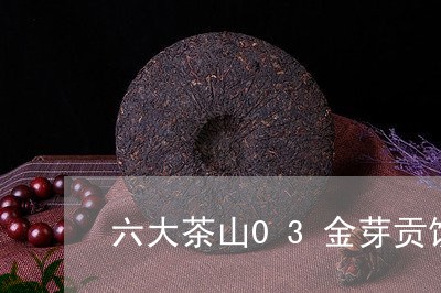 六大茶山03金芽贡饼/2023071601595