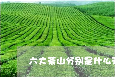 六大茶山分别是什么茶/2023071698371