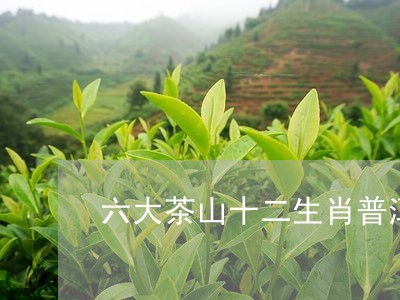 六大茶山十二生肖普洱茶/2023081555928