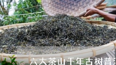 六大茶山千年古树普洱茶/2023120770270