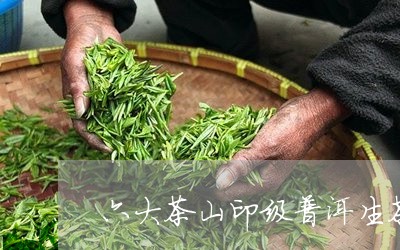 六大茶山印级普洱生茶/2023092481503