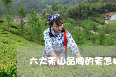 六大茶山品牌的茶怎样/2023092148624