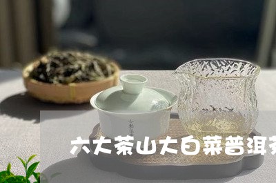 六大茶山大白菜普洱茶/2023092576269