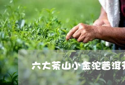 六大茶山小金沱普洱茶/2023092827270