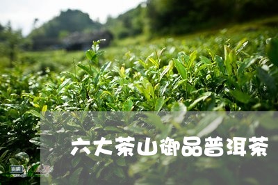 六大茶山御品普洱茶/2023112714950