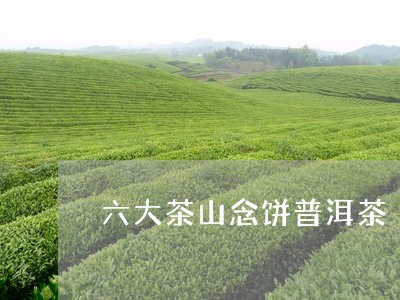 六大茶山念饼普洱茶/2023072227370