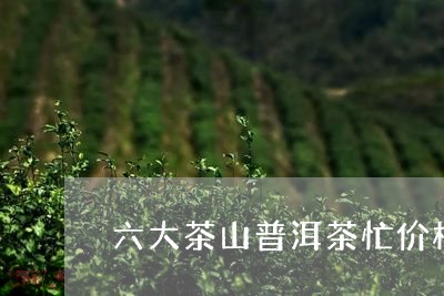 六大茶山普洱茶忙价格/2023092792605