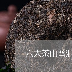 六大茶山普洱茶有哪些/2023072374158