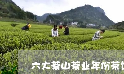 六大茶山茶业年份茶饼/2023071651703