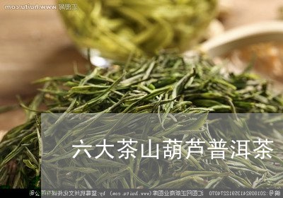 六大茶山葫芦普洱茶/2023101684839