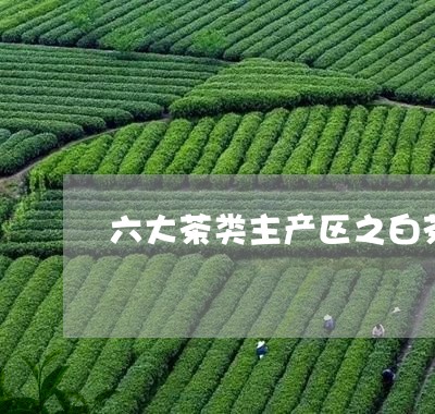 六大茶类主产区之白茶篇/2023101377249