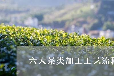 六大茶类加工工艺流程/2023060857250