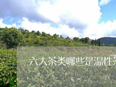 六大茶类哪些是温性茶/2023071507459