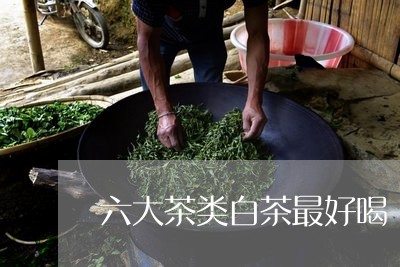 六大茶类白茶最好喝/2023121745461