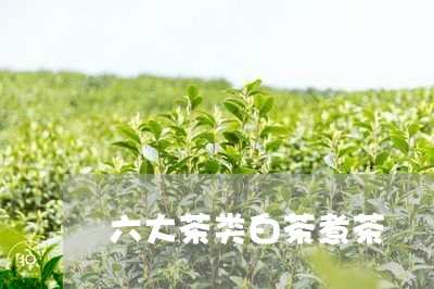 六大茶类白茶煮茶/2023061314048