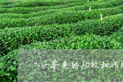 六大茶类的功效和作用茶有哪些功效/2023060429583