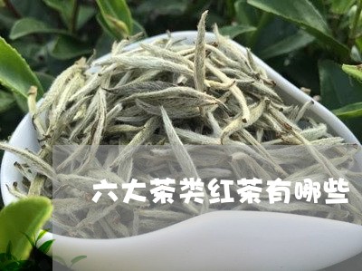 六大茶类红茶有哪些/2023042312706