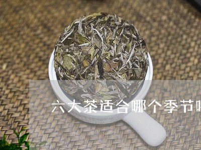 六大茶适合哪个季节喝/2023060822514