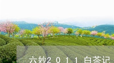 六妙2011白茶记/2023071345846