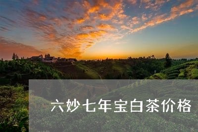 六妙七年宝白茶价格/2023071591795