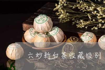 六妙新白茶收藏级别/2023121709481