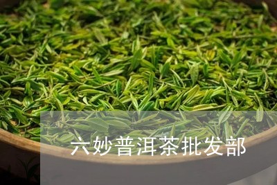 六妙普洱茶批发部/2023101640594