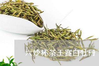 六妙杯茶王赛白牡丹/2023081350804