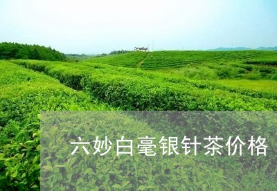 六妙白毫银针茶价格/2023042267581