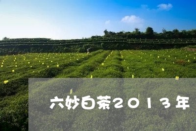 六妙白茶2013年/2023071360504