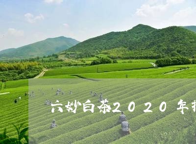 六妙白茶2020年报价表及图片/2023111586361