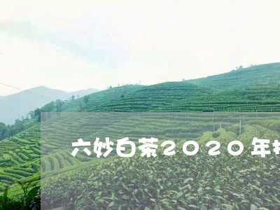 六妙白茶2020年报价表大全/2023111491694