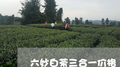 六妙白茶三合一价格/2023071543148