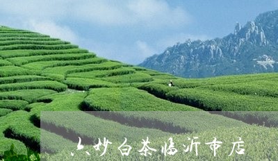 六妙白茶临沂市店/2023061373039