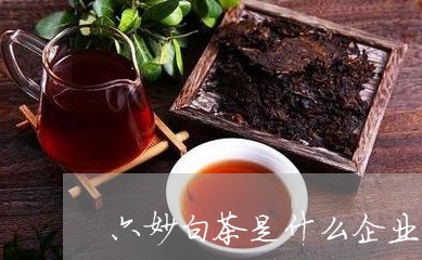 六妙白茶是什么企业/2023121748461