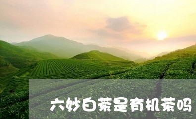 六妙白茶是有机茶吗/2023071534848