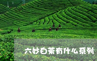 六妙白茶有什么系列/2023121709502