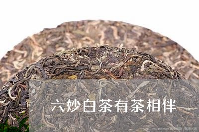 六妙白茶有茶相伴/2023061597503