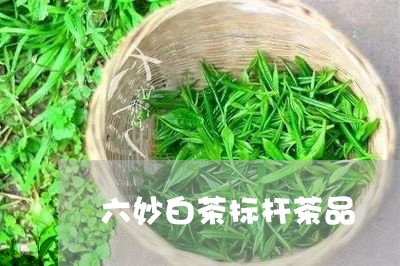 六妙白茶标杆茶品/2023061596472