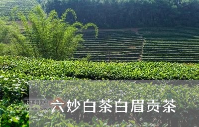 六妙白茶白眉贡茶/2023090901696