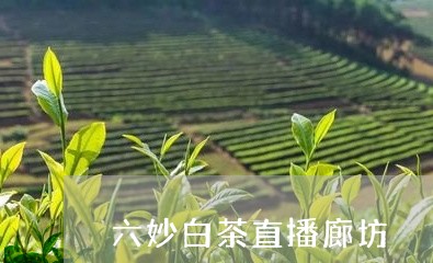 六妙白茶直播廊坊/2023061585928