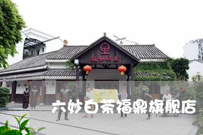 六妙白茶福鼎旗舰店/2023081271704