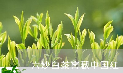 六妙白茶窖藏中国红/2023121711847