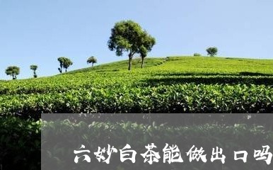 六妙白茶能做出口吗/2023071508250