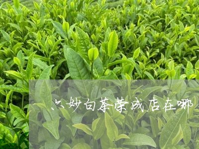 六妙白茶荣成店在哪/2023121768572